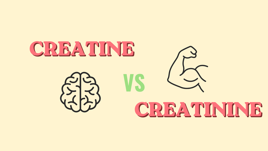 Creatinine vs Creatine: Simple Breakdown (Tables Included)